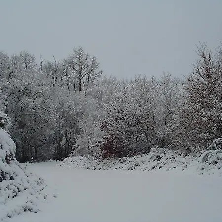 卡萨瑞克托拉康达旅馆 Rairiz de Veiga